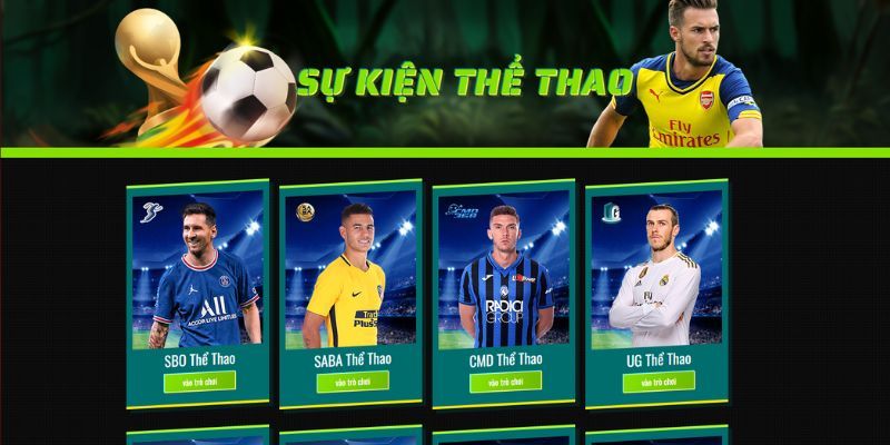 Các loại hình hấp dẫn trong chuyên mục