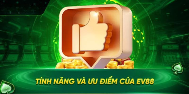 Tổng quan những điều cần biết