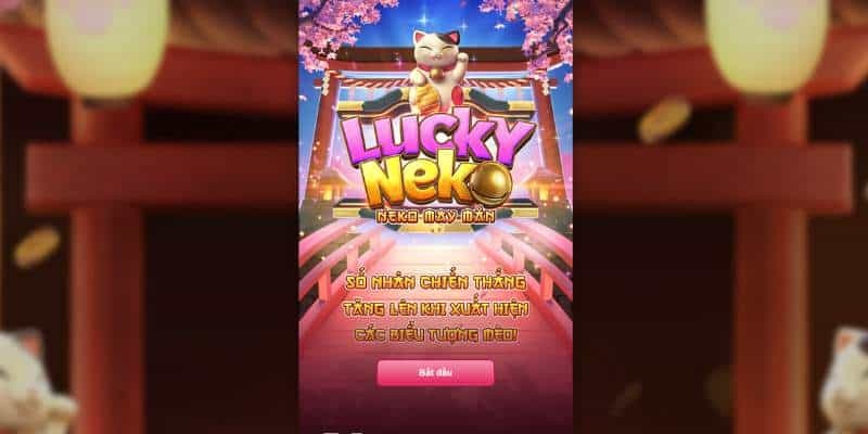 Lucky Neko luôn thuộc top chủ đề hot