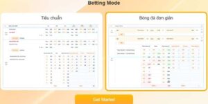 cá độ bóng đá